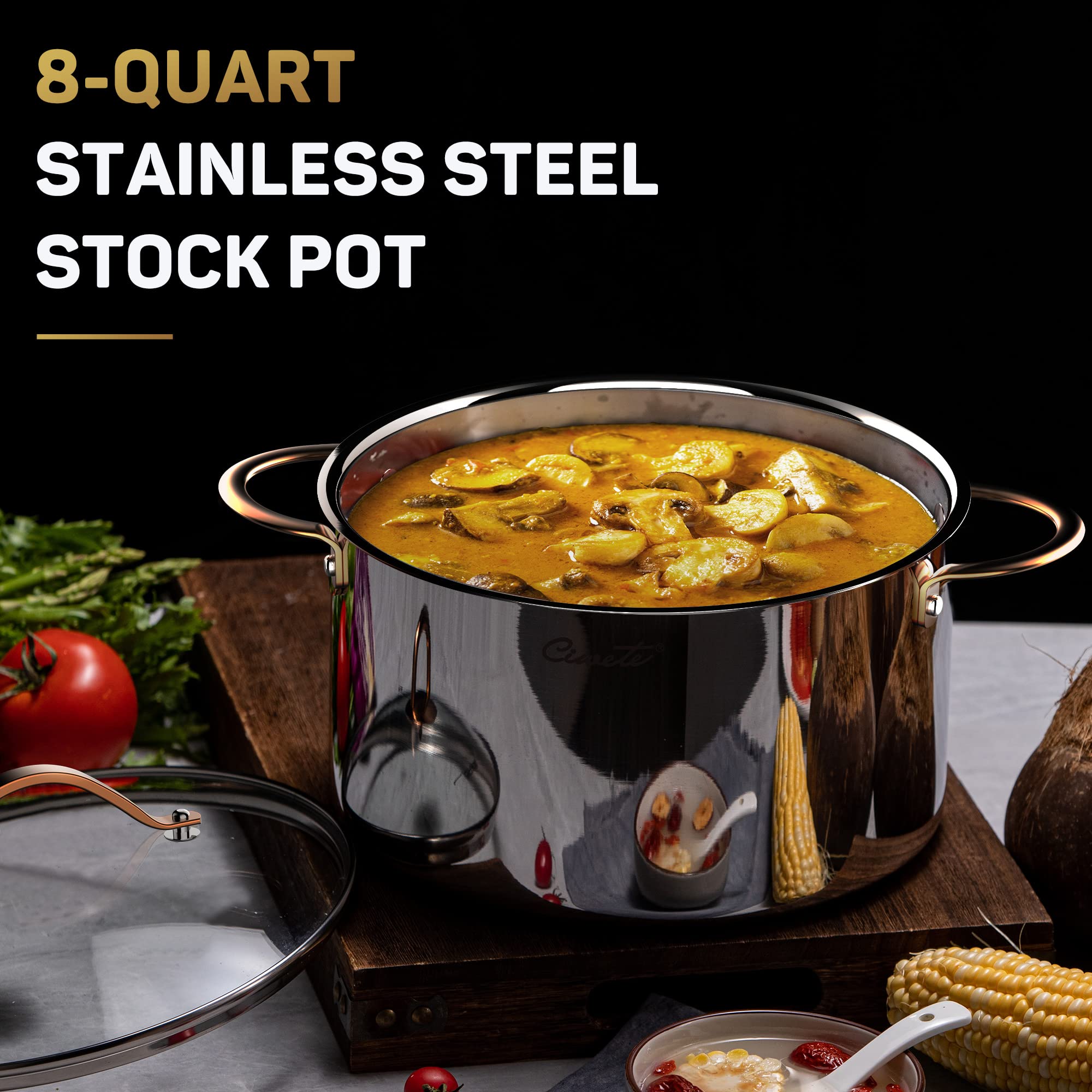 Ciwete 8 Quart Stock Pot